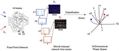 Classification of Fixed Point Network Dynamics from Multiple Node Timeseries Data